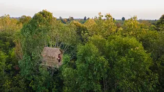 Building a Complete Warm Survival Treehouse, Bushcraft Tree House Shelter