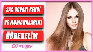 Saç Boyası Rengi ve Numaraları