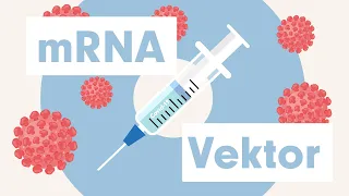 SARS-CoV-2: Corona-Impfstoffe im Vergleich (mRNA und Vektor)