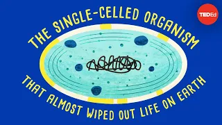 How a single-celled organism almost wiped out life on Earth - Anusuya Willis