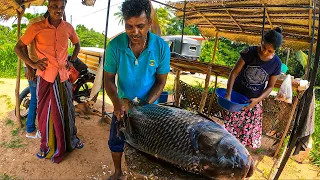 Amazing!! 49Kg Big Catla Fish Cutting Skills Show Traditional Beautiful Village Sri Lanka