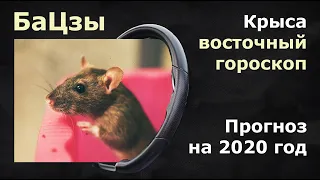 БАЦЗЫ. Прогноз на 2020  год  для людей,  рожденных  в год крысы