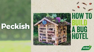 How to build a bug hotel