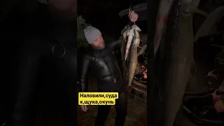 🦎Подводная охота ,судак,щука,окунь🤘