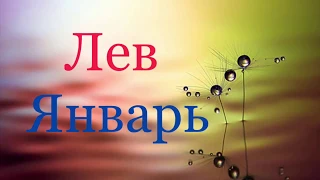 Лев. Таро-прогноз на Январь 2019 г