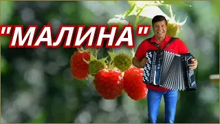 👍🔴 Вот Каких Песен Нам Сейчас Не Хватает!!!! 🍓Песня "МАЛИНА"🍓Сергей Анацкий👍