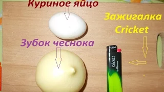 Чеснок-мутант "Рокамболь". Собираем урожай "однозубок" выращенный из подземных бульбочек!!!