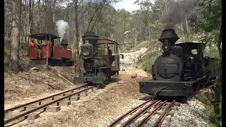 "Welcome back Ivy" Mandalong Valley Tramway, three locos in steam.