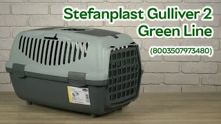 Розпаковка Stefanplast Gulliver 2 Green Line Сіро-зелений (8003507973480)