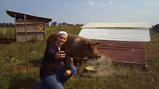 Owens Farm: Promotional Video