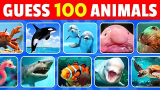 Guess 100 Sea Animals in 5 Seconds 🐬🦑  Easy, Medium, Hard, Impossible