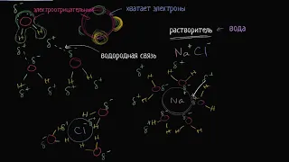 Вода как растворитель (видео 2) | Биологическая роль воды | Биология