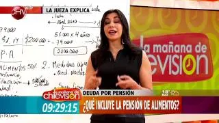 Deuda por pensión: ¿Cómo puedo exigir los alimentos? | La Mañana de CHV