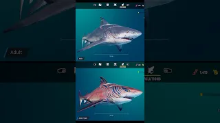 MANEATER | ALL SHARKS EVOLUTION [2023]