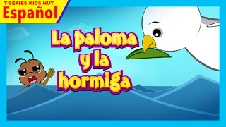 La paloma y la hormiga - historias en Español || historias para dormir || cuentos