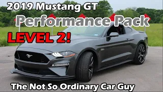 2019 Mustang GT PP2 - The Most Underrated Mustang EVER!