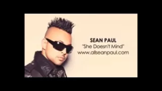 Sean Paul - She Doesn't Mind 10:39:52 Hours.