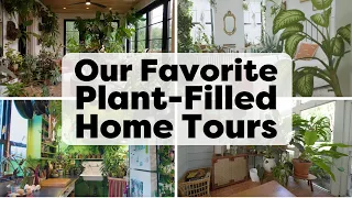 Our Top Plant-Filled Home Tours | Handmade Home