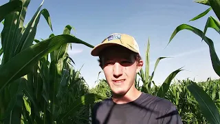 How We Water Our Corn Crop