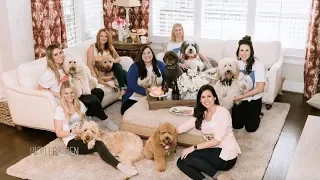 These 7 Women are Best Friends - and So Are Their Dogs! - Pickler & Ben