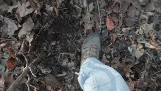 Signs of Bigfoot, Sasquatch with activity!