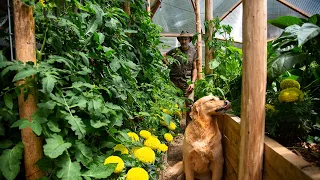 Early July in the Wilderness Greenhouse and Permaculture Food Forest