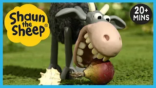 The Bull and Goat Come To Play 🐮🐐 Shaun the Sheep Full Episodes 🐑 Cartoons for Kids