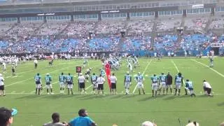 Steve Smith nice catch from Cam Newton at Panthers Fan Fest