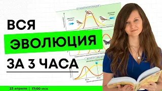 ВСЯ ЭВОЛЮЦИЯ ДЛЯ ЕГЭ ЗА 3 ЧАСА