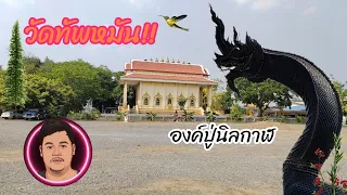 วัดทัพหมัน​ อุทัยธานี ความคืบหน้าในการสร้างองค์พญานาค​ องค์สุดท้าย