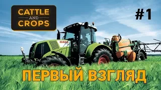 Cattle And Crops #1 Первый взгляд