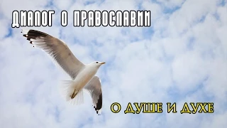 «Диалог о Православии» о душе и духе