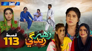 Zahar Zindagi - Ep 113 | Sindh TV Soap Serial | SindhTVHD Drama