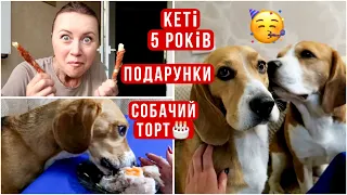 У Кеті ДН🥳Що я подарувала? Пробую собачі смаколики😅