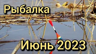 Рыбалка на поплавок 28 июня 2023 на реке.Ловля дикого карася в запрещённом месте!