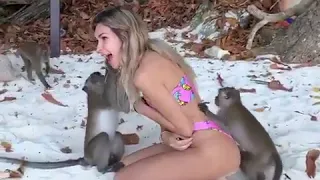 These monkey is Pervert