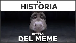 Burro mirando fijamente | La Historia Detrás del Meme