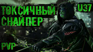 TESO(ИЗМЕНЕН) 🏹Клинок Ночи Лучник ПВП Билд Писцы Судьбы / 🏹NightBlade Archer PVP