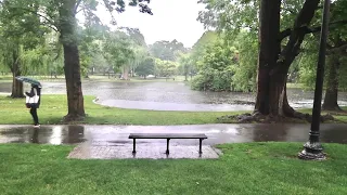 Good Will Hunting (1997) Filming Locations Tour in Boston - Rainy Day At The Robin Williams Bench