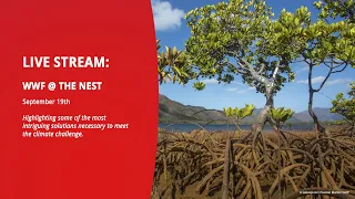 WWF @ The Nest Livestream Day 1 | Climate Week 2023