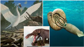 Top 10 Awesome Extinct Animals You Won't Believe Existed😱