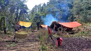 Nepali mountain Villagr Life | Nepal🇳🇵| Organic Shepherd Food | Shepherd Life | Real Nepali Life |