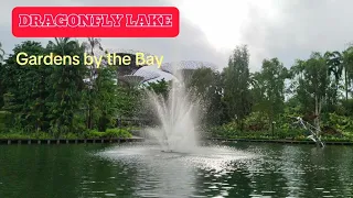 DRAGONFLY LAKE || Gardens by the Bay