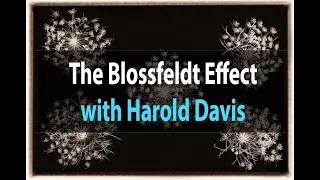 The Blossfeldt Effect | Harold Davis | Webinar June 12, 2021