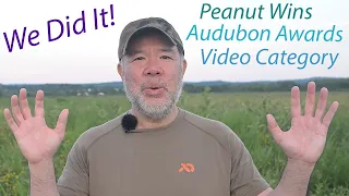 We Did It! Peanut Wins Audubon Photography Awards  - Video Category