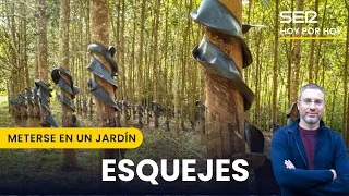 🌱 Cómo hacer esquejes | Meterse en un jardín, con Eduardo Barba