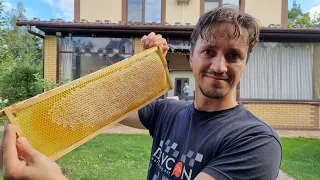 Мой медосбор 2021. Первая откачка меда с одной пчелосемьи.