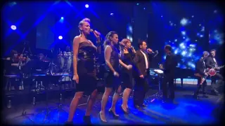 P. Bruel, P. Kaas, I. Boulay, Garou, J. Hallyday - "Je ne suis pas un héros" - FCF 2013