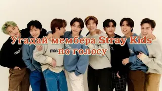 Угадай мембера Stray Kids по голосу/Guess the member of the Stray Kids by voice