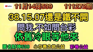 11月14日.上期開出13.31號(双星報喜)